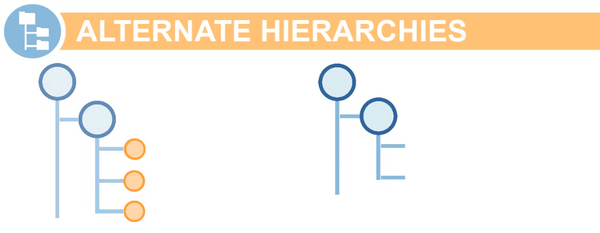 Alternate Hierarchies in NetSuite Planning and Budgeting