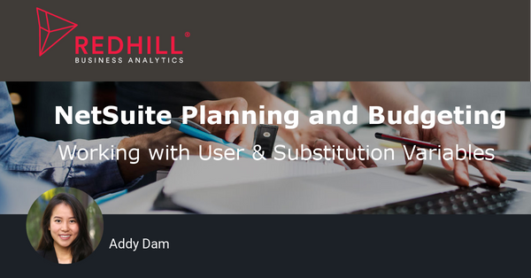 Variables in NetSuite Planning & Budgeting Cloud